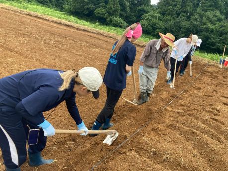 耕作放棄地の活用！！：「お試し農園」への参加（1）