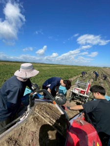 多世代が交流するためのSNSを活用したプラットフォームづくり（森ゼミ）