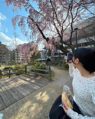 「八幡杜の館 さくらまつり」開催打ち合わせに参加