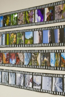 写真部・絵を描く会の合同展示会開催中！