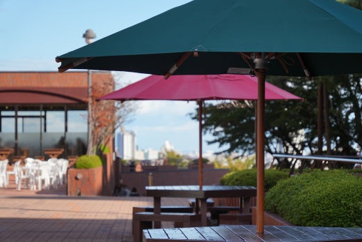 素敵な写真が撮れました(今村果宏さん撮影)