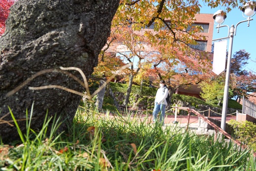 歩季のイチオシ写真（菅原歩季さん撮影）