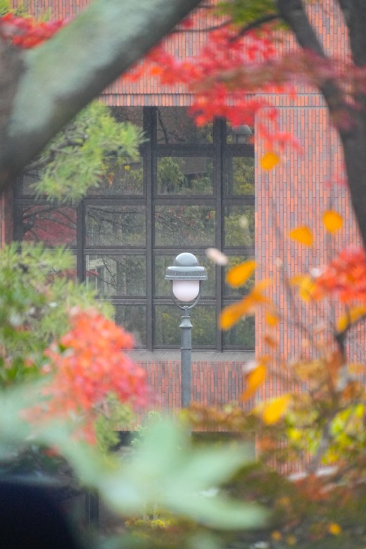 構図を工夫して撮影しました①（中澤雅晴さん撮影）