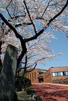 令和7年度　学位記・卒業証書授与式について（11月21日現在）