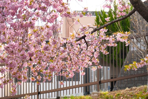 5号館と6号館の間にあります