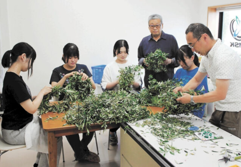【新聞掲載情報】網地島オリーブで王冠 NPOと学生で手作り 空手大会優勝者に贈る(石巻かほく)