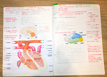 進学のきっかけは、祖母が教えてくれた記事。 勉強する喜びを知り