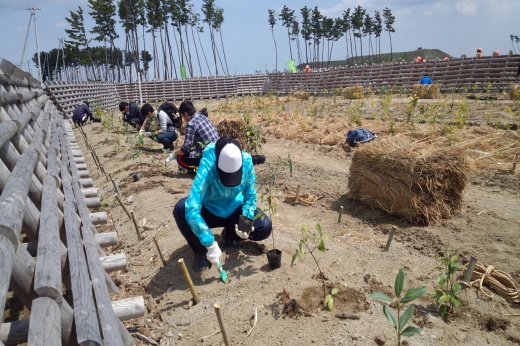 植樹ボランティアに取組む学生たち①
