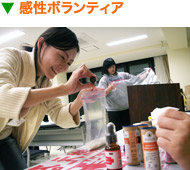 感性ボランティア