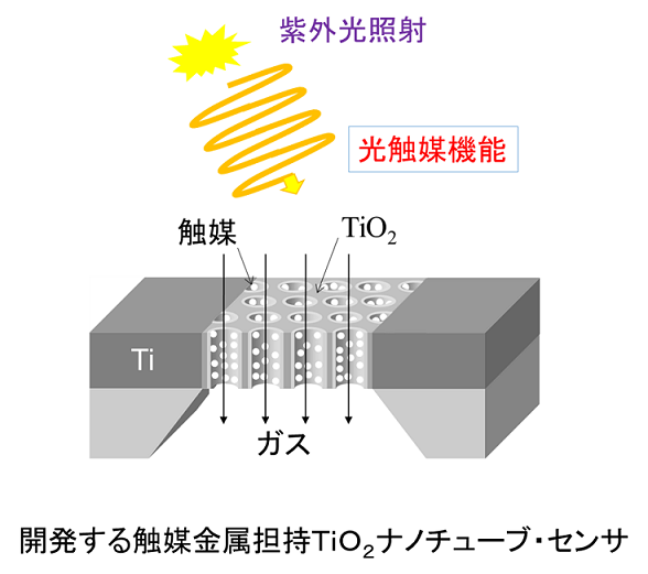 庭野道夫特任教授の研究がJST「研究成果最適展開支援プログラム」に採択