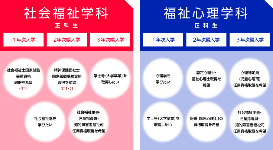 入学する学科の選択