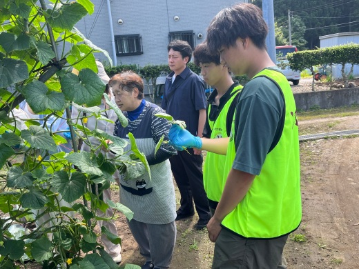 農作業のお手伝いもしました