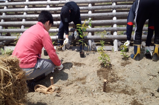植樹ボランティアに取組む学生たち②